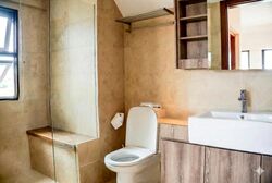 Holland Link (D10), Terrace #522817551
